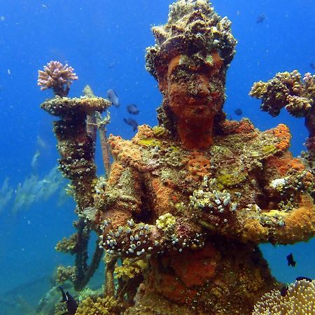 Biorock Homestay & Dive Center Pemuteran Εξωτερικό φωτογραφία