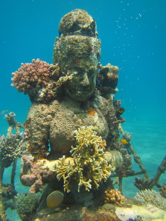 Biorock Homestay & Dive Center Pemuteran Εξωτερικό φωτογραφία
