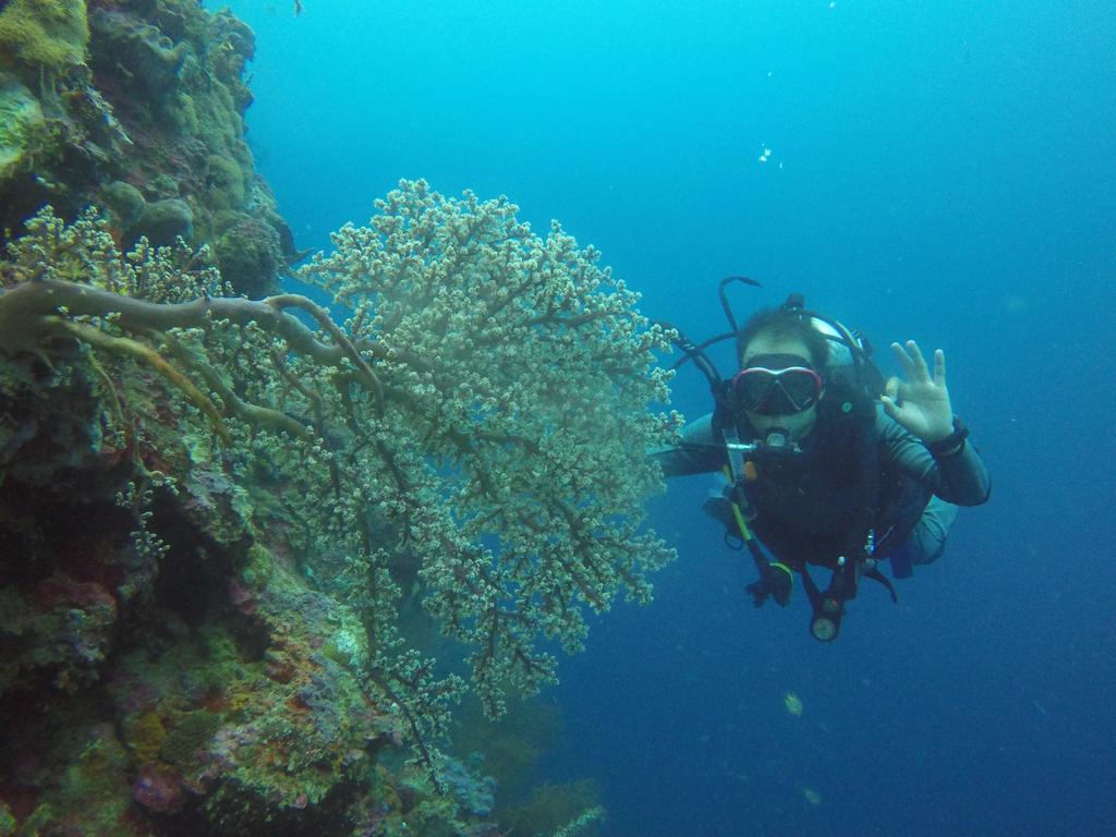 Biorock Homestay & Dive Center Pemuteran Εξωτερικό φωτογραφία