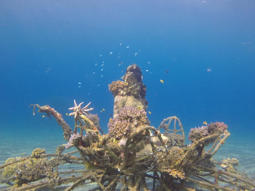Biorock Homestay & Dive Center Pemuteran Εξωτερικό φωτογραφία