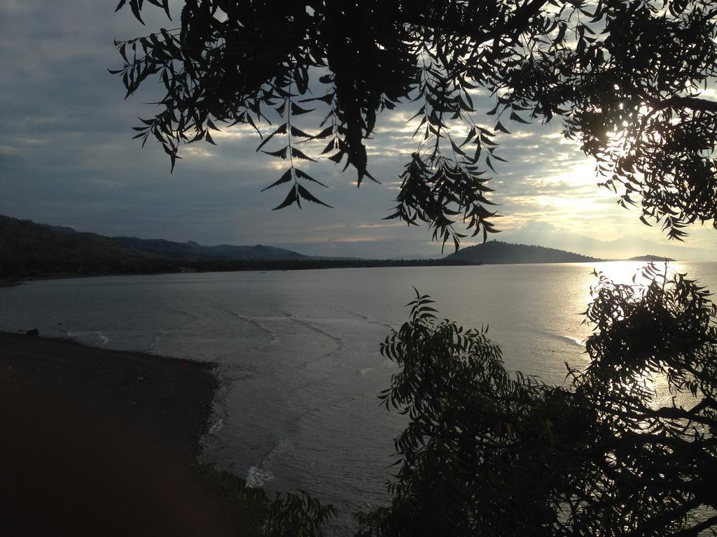 Biorock Homestay & Dive Center Pemuteran Εξωτερικό φωτογραφία
