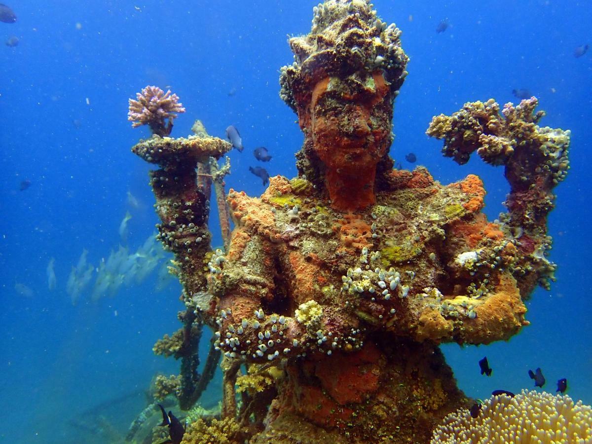 Biorock Homestay & Dive Center Pemuteran Εξωτερικό φωτογραφία